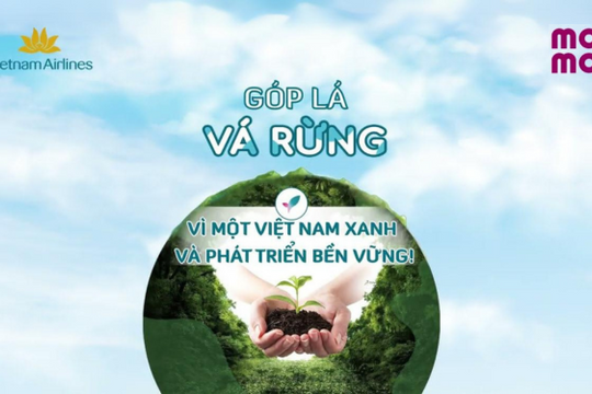 70 ngày và hành trình phủ xanh hơn 27 hecta rừng của Vietnam Airlines