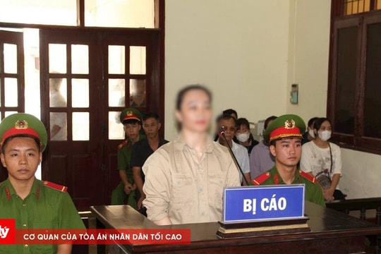 Trả hồ sơ để điều tra bổ sung vụ "cô đồng bổ cau"