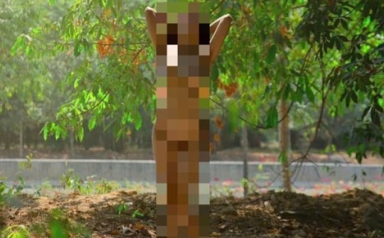 Cô gái khỏa thân đứng chụp hình trên đường ở Bình Dương là ai?