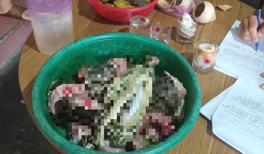 Phạt người phụ nữ cắt động vật quý hiếm trong sách Đỏ thành nhiều khúc