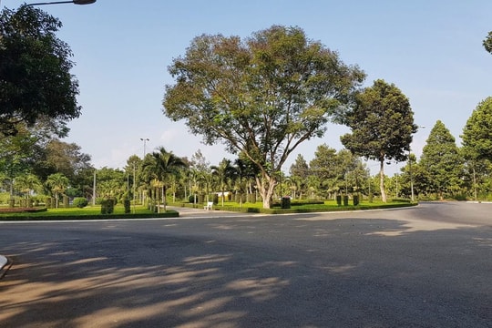 Ngăn chặn tẩu tán tài sản tại dự án bất động sản lớn tại Cần Thơ