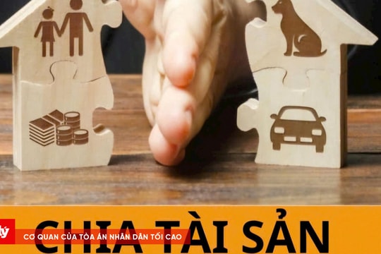 Không đồng ý tỉ lệ chia tài sản ly hôn, hai vợ chồng kháng cáo