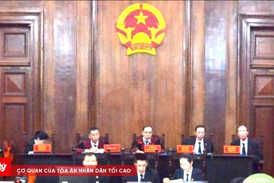 Phiên toà xét xử đại án đăng kiểm kết thúc sớm hơn so với dự kiến