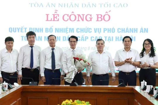 Điều động, bổ nhiệm Chánh án Tòa án nhân dân tỉnh giữ chức Phó Chánh án Tòa án nhân dân cấp cao