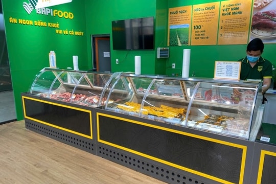 Vừa thua kiện, Công ty BAPI Hoàng Anh Gia Lai thay người đại diện theo pháp luật