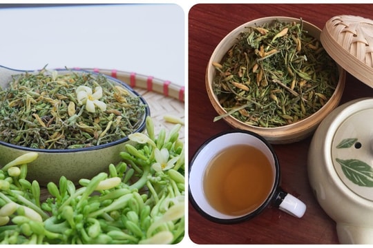 Các bài thuốc chữa bệnh từ hoa đu đủ đực