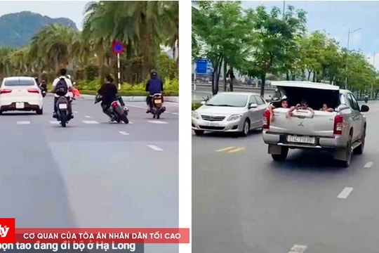 Xử phạt nữ tài xế chở 3 cháu nhỏ trên thùng xe bán tải