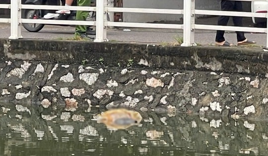 Hà Nội: Phát hiện thi thể nam thanh niên nổi trên hồ điều hòa