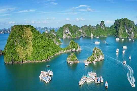 Vịnh Hạ Long - Quần đảo Cát Bà được công nhận là Di sản Địa chất quốc tế