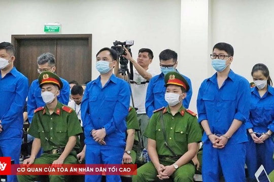 Cựu Chủ tịch Công ty chứng khoán Trí Việt tiếp tục hầu tòa