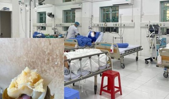 Người đàn ông 79 tuổi ở Cao Bằng nguy kịch sau khi ăn bánh rợm