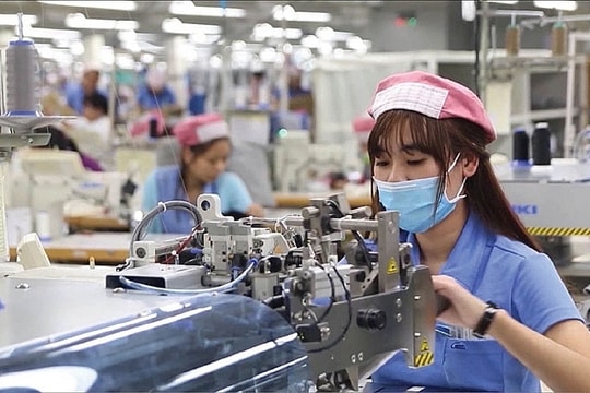 Kế hoạch thời gian điều tra cơ sở sản xuất, kinh doanh cá thể năm 2025