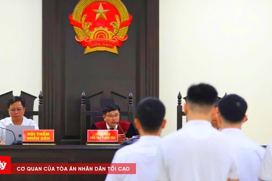 Xét xử nhóm cầu thủ tổ chức sử dụng ma túy