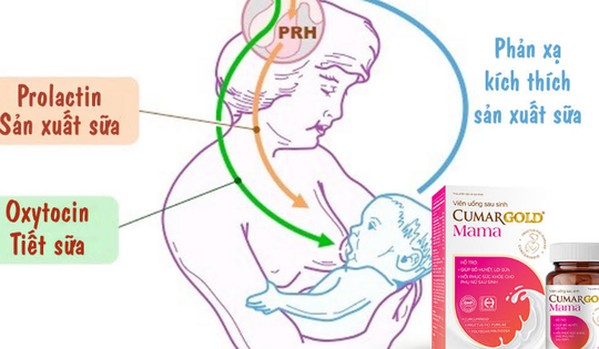 Sản phẩm hỗ trợ lợi sữa khoa học, thành phần thiên nhiên