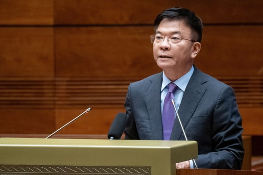 Phân công nhiệm vụ Phó Thủ tướng Chính phủ Lê Thành Long