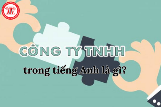 Công ty trách nhiệm hữu hạn trong tiếng anh là gì?