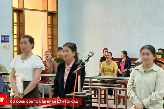 “Nổ" quen biết các lãnh đạo sở, lừa xin việc chiếm đoạt gần 4 tỷ đồng