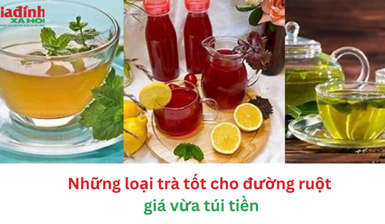 Những loại trà tốt cho đường ruột giá rẻ