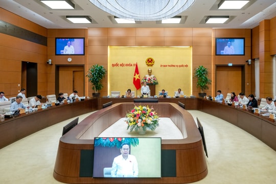 Bổ nhiệm Trợ lý Phó Chủ tịch Quốc hội