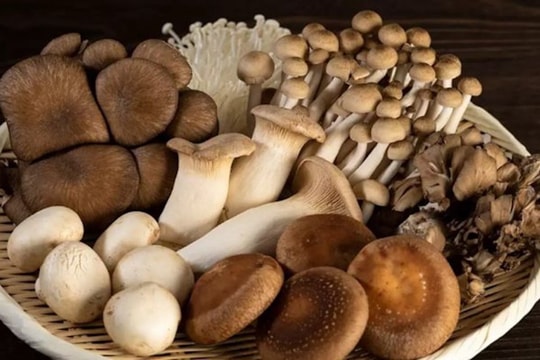 Lợi ích tuyệt vời của nấm với sức khoẻ