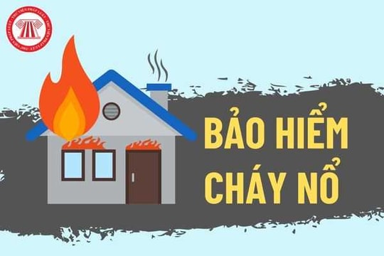 Trường hợp nào bảo hiểm cháy nổ không phải đền bù?