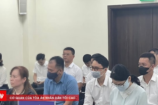 Vụ "dìm giá" đất đấu giá ở Hà Nội: Cựu Chủ tịch Tập đoàn Vimedimex bị đề nghị mức án đến 42 tháng tù