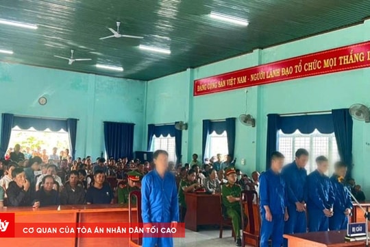 Lĩnh án vì khai thác lâm sản trái phép