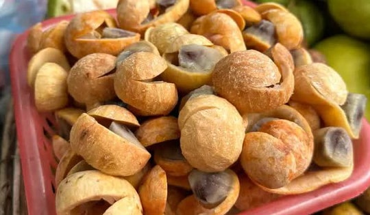 Quả sấu chín: Thức quà dân dã mỗi độ Thu về