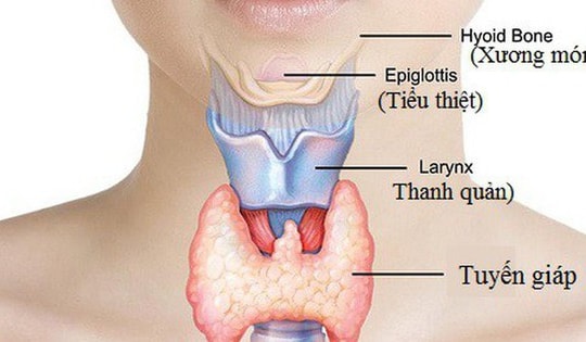 9 dấu hiệu cảnh báo bệnh tuyến giáp, cần được khám sớm