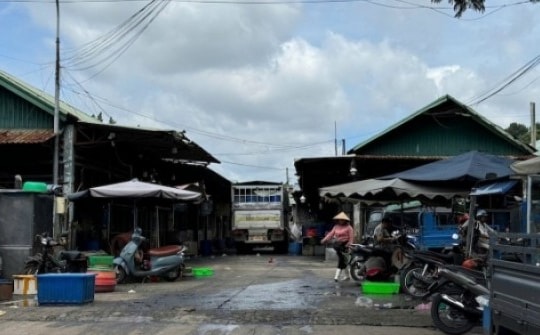 Nổ súng vào quán cà phê, hai vợ chồng nguy kịch