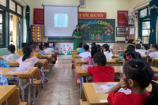 Hồ sơ, thủ tục chuyển trường với học sinh tiểu học TPHCM năm học 2024-2025