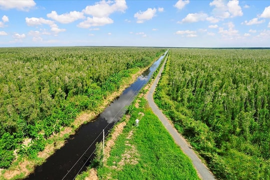 Tăng cường công tác quản lý tín chỉ các-bon