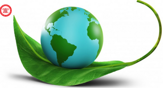 Hướng dẫn khai thuế, tính thuế và nộp thuế bảo vệ môi trường