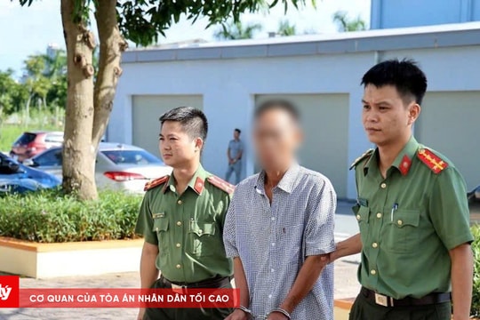 Bắt giữ đối tượng trong tổ chức "Chính phủ quốc gia Việt Nam lâm thời"