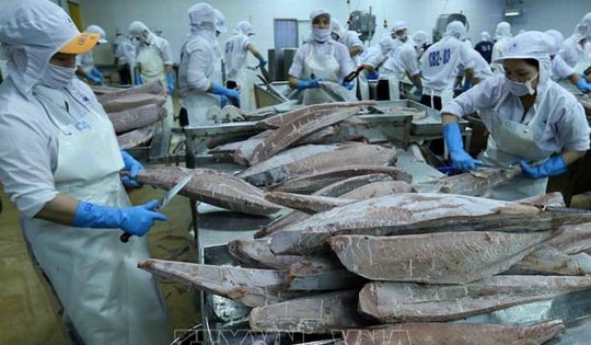 Xuất siêu nông, lâm thủy, sản tăng trên 68%