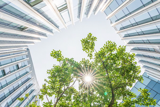 Thử thách ESG tại Việt Nam: Tiền là vấn đề quan trọng