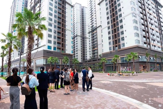 Khách tranh thủ nghỉ lễ 2/9 đi xem nhà đất