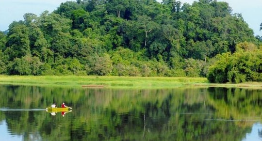 Quy hoạch về phát triển sản xuất lâm nghiệp đến năm 2030