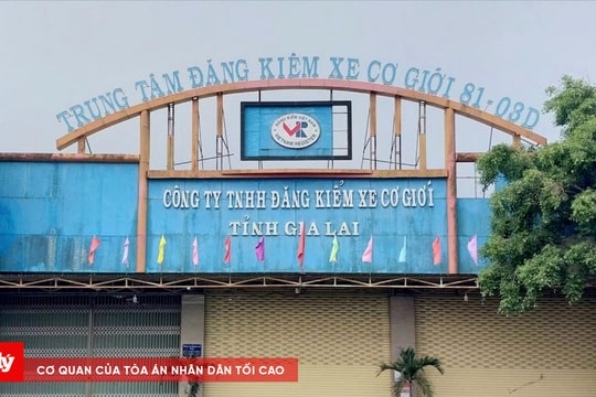 Gia Lai: Loạt lãnh đạo và Đăng kiểm viên nhận hối lộ để làm khống hồ sơ