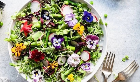 Hơn 500 loài hoa tươi có thể ăn được