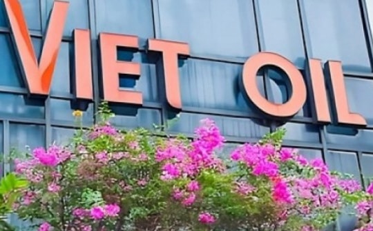 Vụ án Xuyên Việt Oil: Nữ giám đốc chịu chi và khoản biển thủ kếch xù