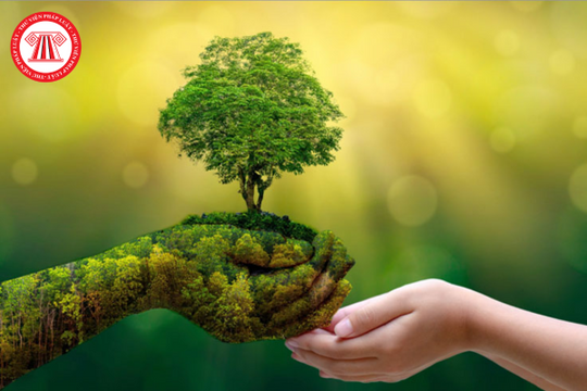 Cơ sở sản xuất nào được áp dụng phương thức đóng góp tài chính vào Quỹ Bảo vệ môi trường Việt Nam để hỗ trợ tái chế sản phẩm, bao bì?