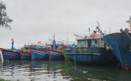 Thông báo khẩn về bão số 3 YAGI