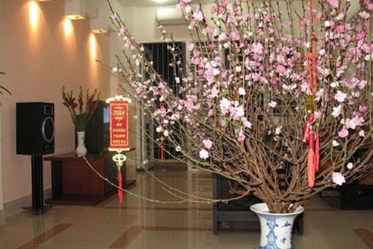 Tết Dương lịch 2025: Cán bộ, công chức, viên chức, người lao động được nghỉ mấy ngày?