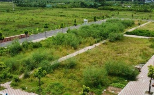 Huyện Thanh Oai tạm dừng đấu giá 114 khu đất