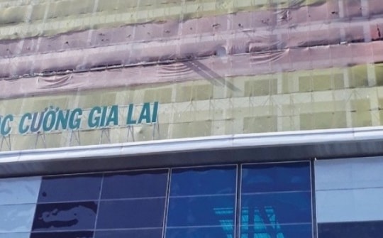 Quốc Cường Gia Lai lỗ nặng, thu nhập của lãnh đạo chỉ 11 triệu đồng/tháng