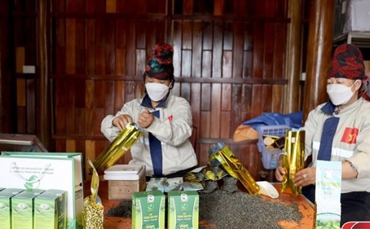 Nâng cao chất lượng các sản phẩm OCOP