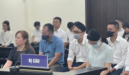 Cựu Chủ tịch Vimedimex lĩnh án 3 năm tù