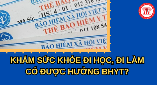 Khám sức khỏe đi học, đi xin việc có được hưởng bảo hiểm y tế và mức giá khám ra sao?