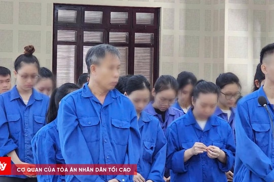 Làm giả hồ sơ xuất cảnh sang Canada chiếm đoạt hơn 1,6 tỷ đồng